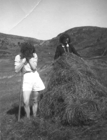 314: l-r Anne McCarthy and Marg Ryan turning the hay. The road to Margaries Cove is in the background. (circa 1943)  - Anne daughter of James McCarthy &amp;amp; Julia Reddy; Marg daughter of Denis Ryan &amp;amp; Mary Dunphy